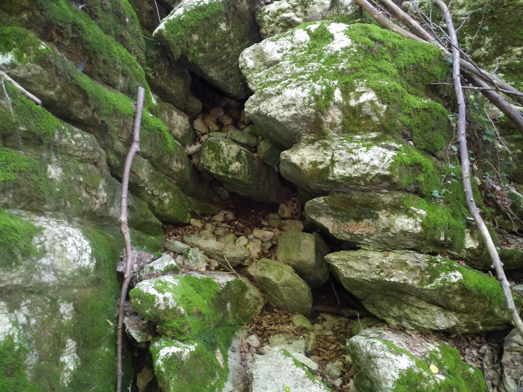 Peștera din Albia Raicovacia - Image 1